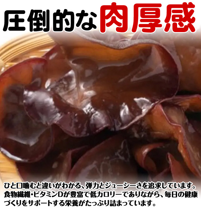 北海道産 朝採り生きくらげ 1kg 菌床栽培・無農薬 ぷりぷり肉質 送料無料 ※沖縄は送料別途加算