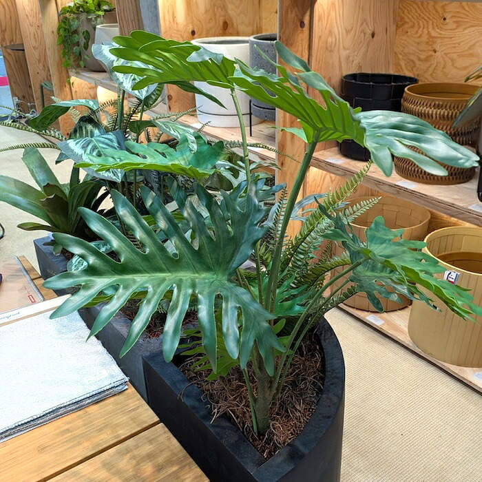 観葉植物 造花 セローム BROWN 全高約70cm 卓上・小型 フェイクグリーン 本物そっくり おしゃれ インテリア 人工観葉植物 アーティフィシャルグリーン オフィス 店舗 ホテル 開店祝い 室内 ミニ フィロデンドロン フェイク