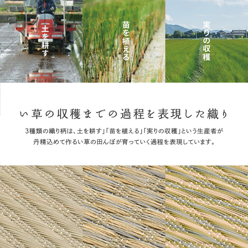 夏ラグ 夏用カーペット 国産い草カーペット せとのと 倉ノ戸 本間 2帖 2畳 柄上敷き 花ござ い草ラグ