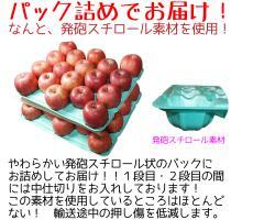 青森県産 りんご　訳あり 紅玉　10ｋｇ　送料無料！