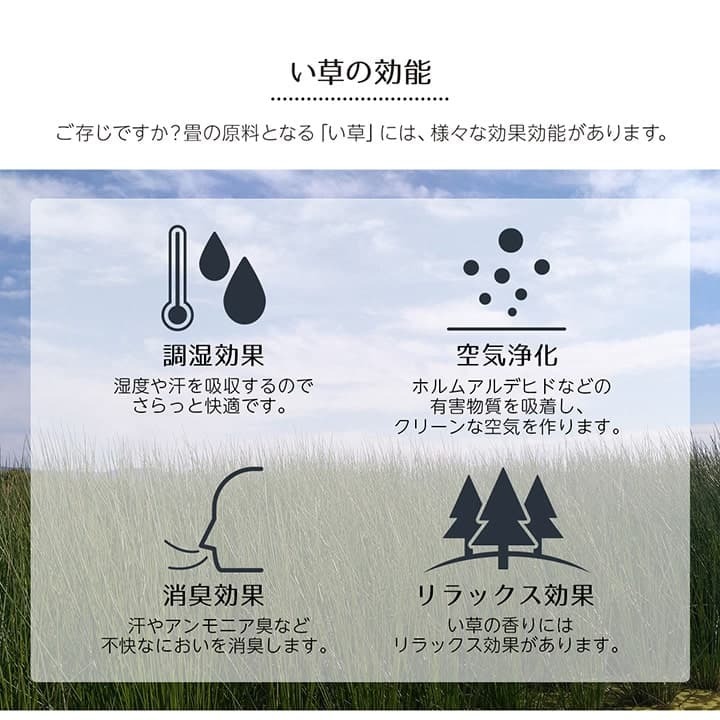 夏ラグ 夏用カーペット い草ラグ 花ござ カーペット ラグ 4.5畳 ギャッベ(ギャベ)柄 抗菌防臭 消臭 江戸間4.5畳 (約261×261cm）