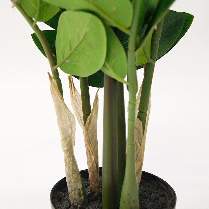 観葉植物 造花 ザミオクルカス BROWN 全高約70cm 卓上・小型 フェイクグリーン 本物そっくり おしゃれ インテリア 人工観葉植物 アーティフィシャルグリーン オフィス 店舗 ホテル 開店祝い 室内 ミニ ザミフォーリア 多肉 フェイク
