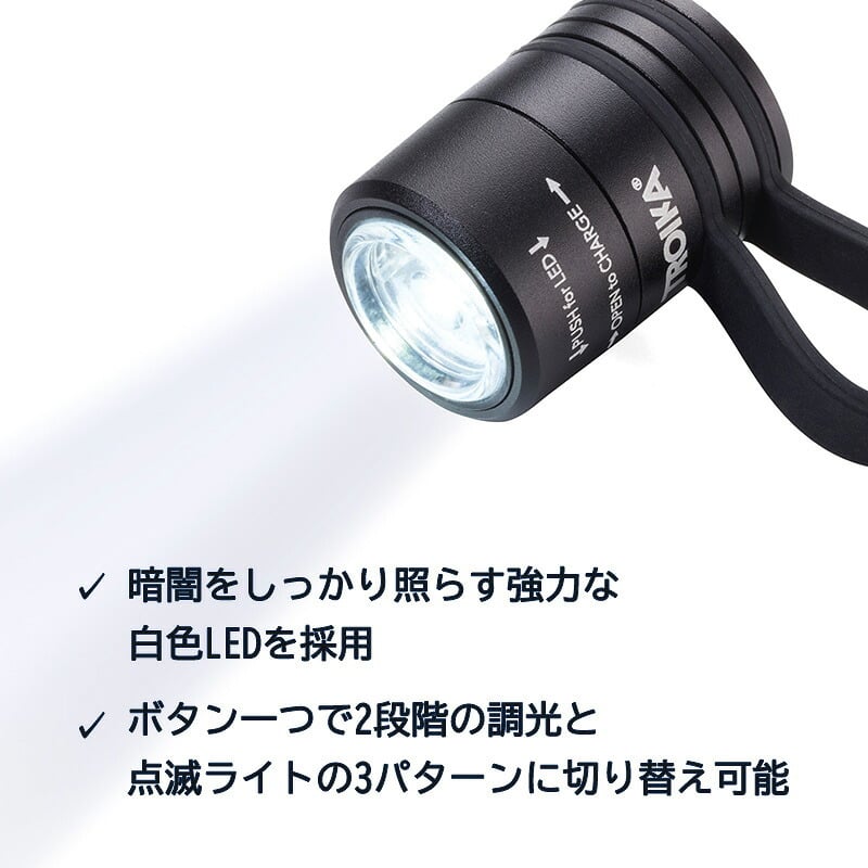 TROIKA トロイカ 懐中電灯 ライト スポーツライト トーチ 点滅ライト 充電式 エコラン ブラック ブルー レッド チタン 高級 高品質 ギフト プレゼント 鍵 メンズ レディース マットシルバー 記念 誕生日