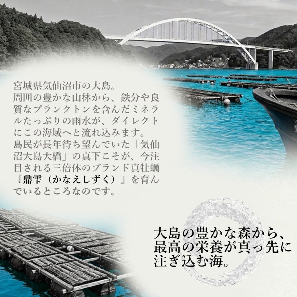 【生食用】 牡蠣 殻付き 1kg（9〜11個） 気仙沼大島産 三倍体 真牡蠣 鼎雫 かなえしずく ブランド牡蠣 送料無料 生カキ ギフト 贈答