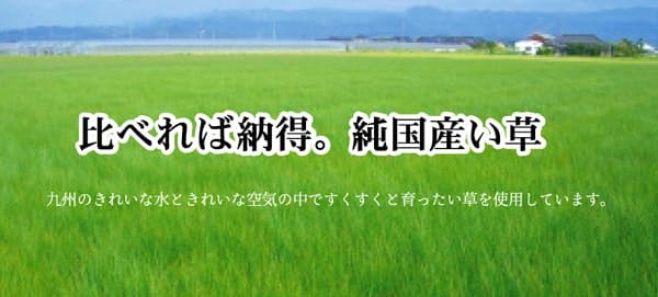 夏ラグ 夏用カーペット フリーカット い草 上敷き カーペット 『F竹』 江戸間6畳(約261×352cm）(裏:ウレタン張り）