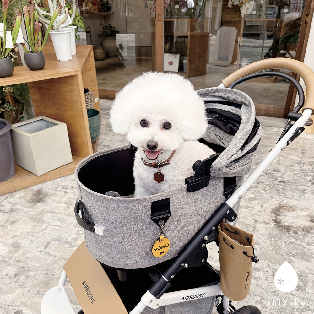 犬 メッセージタグ イエローリボン 散歩 お散歩タグ オリジナル 犬用タグ 迷子札 大きめ 本革 栃木レザー 軽量 散歩タグ 革 レザー 愛犬の気持ちを伝える こわがり 臆病 人が苦手 よく吠える 音が苦手 名入れ