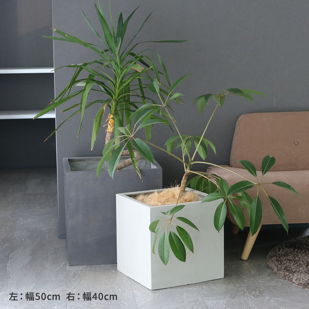 ガーデン エクステリア 「GRITTE」 グリッテ 石調FRPプランター 幅50 (角型) E001-CU500 植木鉢 プランター セメント コンクリート 軽量 大型 75L カバー 庭 インテリア 室内 店舗 おしゃれ 新生活