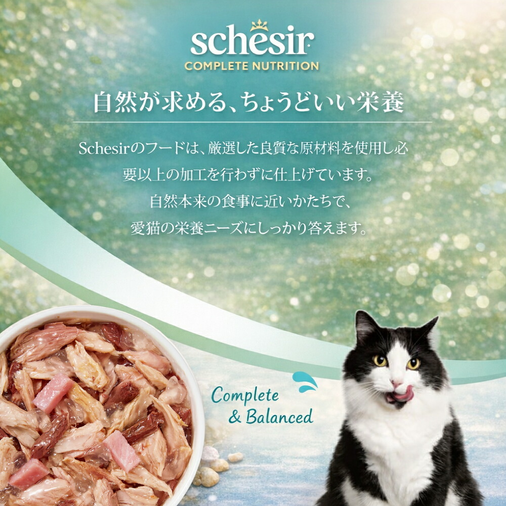 Schesir シシア ツナwithハム 猫缶 キャットフード 85g×12個