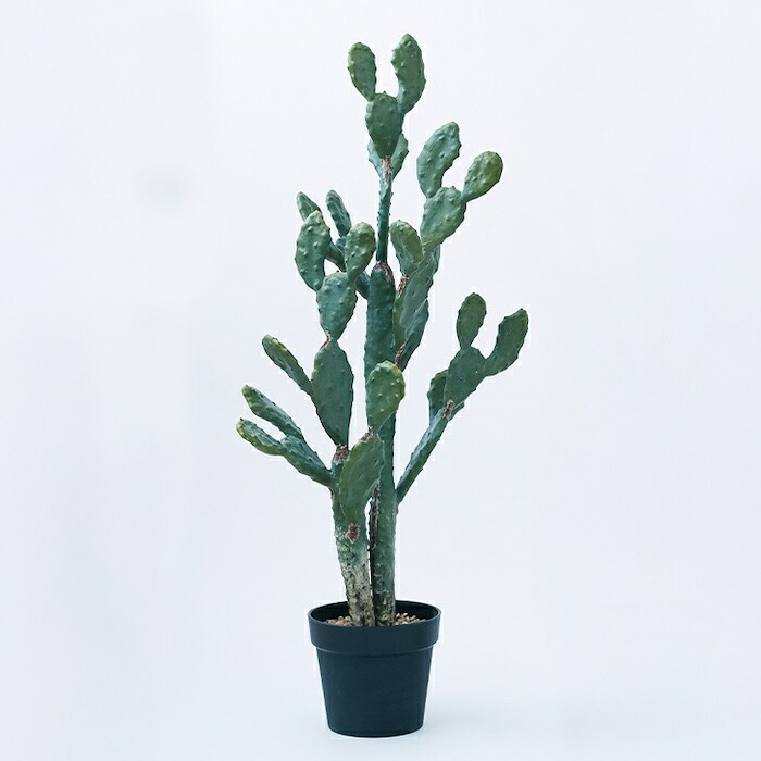観葉植物 造花 ウチワサボテン BROWN 全高約100cm 中型 フェイクグリーン 本物そっくり おしゃれ インテリア 人工観葉植物 アーティフィシャルグリーン オフィス 店舗 ホテル 開店祝い 室内 サボテン オプンチア フェイク