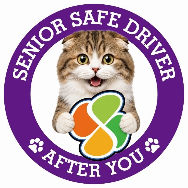 カーサイン 高齢者マーク SENIOR SAFE DRIVER ハイランドフォールド ステッカー シール 直径13cm 肉球 日本製 車