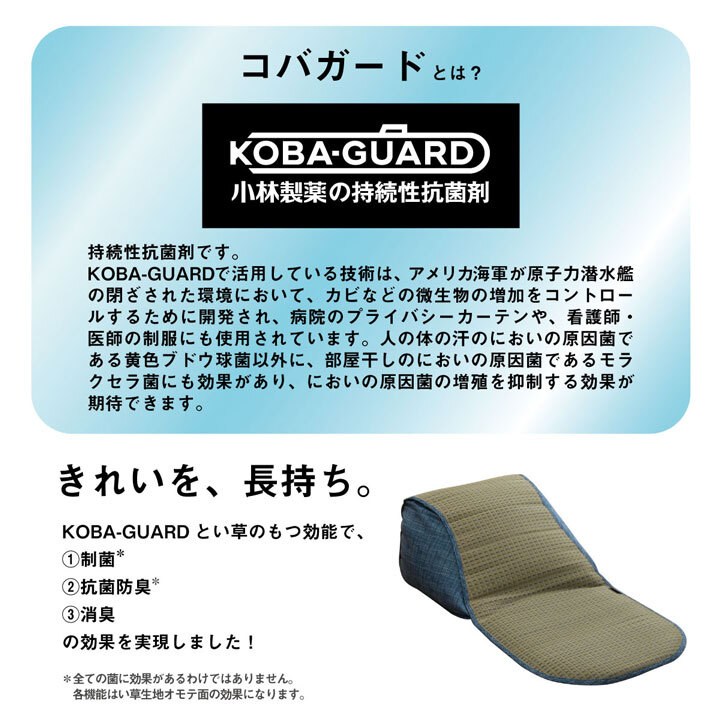 クッション くつろぎ ごろごろ い草 抗菌防臭 消臭 シンプル 小林製薬コバガード使用 約48×90cm