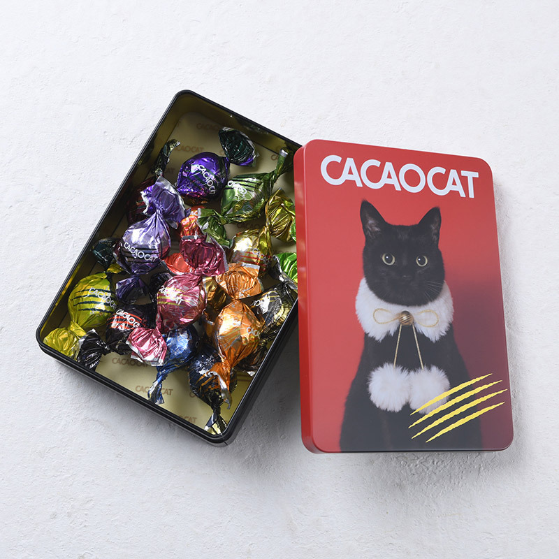 CACAOCAT カカオキャット ミックス缶 14個入り RED NR-03857 ボンボンショコラプレミアムチョコレート/アソート/ギフト プレゼント/北海道/クリスマス/バレンタイン/かわいい猫チョコ/ねこ/DADACA/