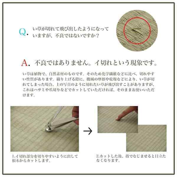 ラグ 長方形 い草 自然素材 シンプル ボーダー 裏面すべり止め付き 滑りにくい 抗菌防臭 約6畳 約240×320cm