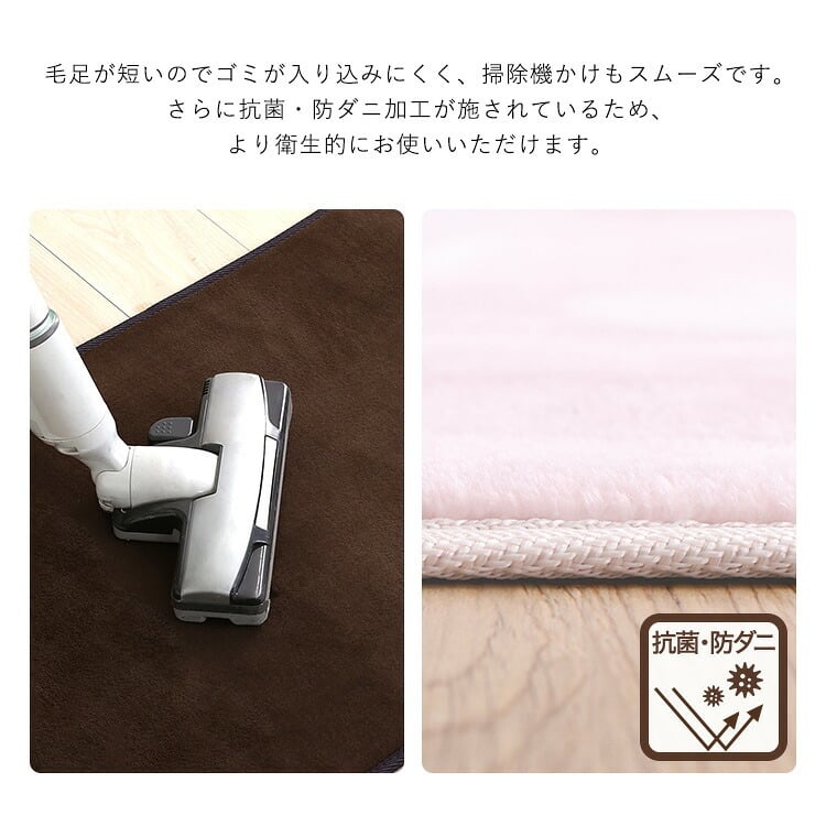 ラグ カーペット 洗える玄関マット 45×90cm 【ヴィタム-Witam-】
