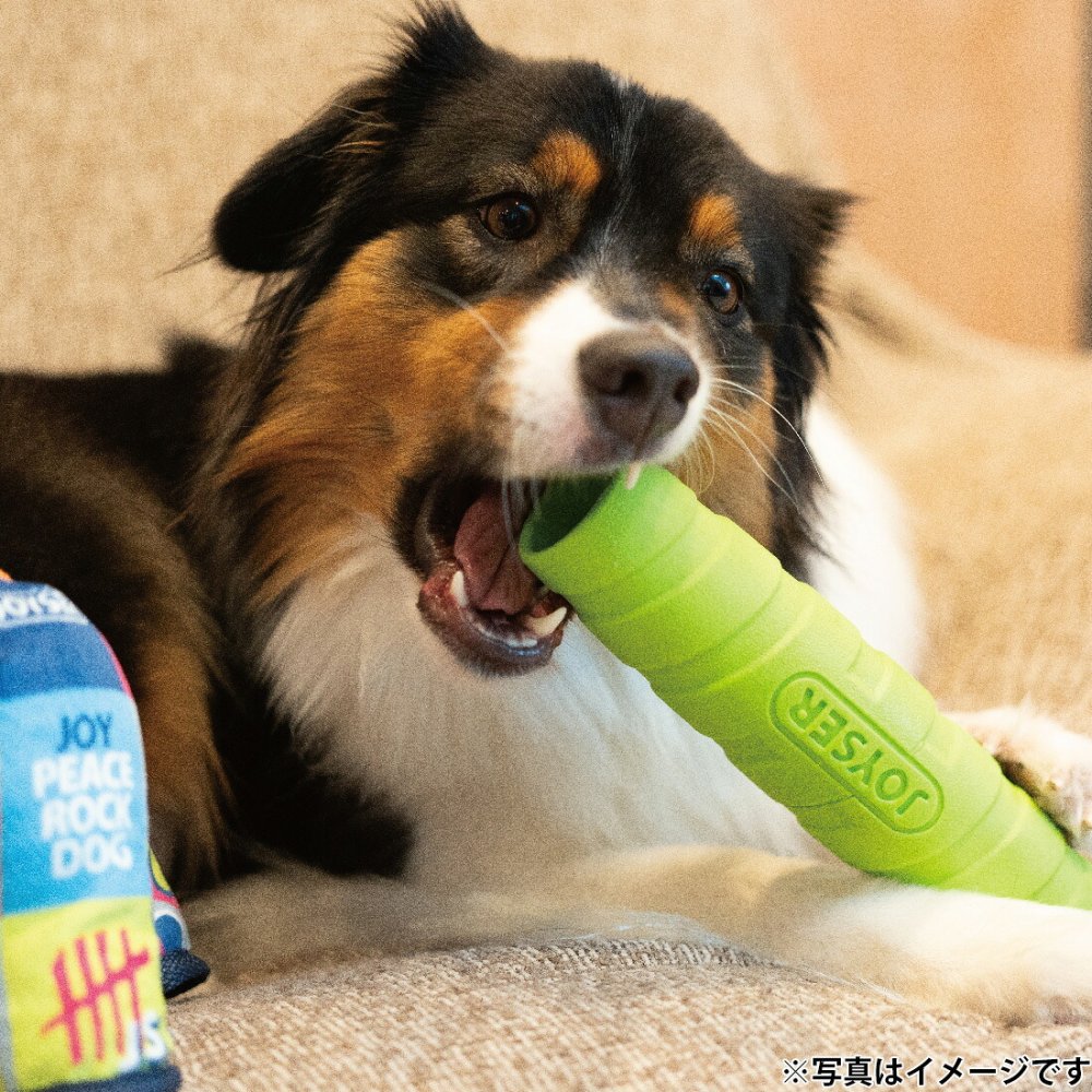 ジョイサー JOYSER ホールスティック 犬用おもちゃ ライム