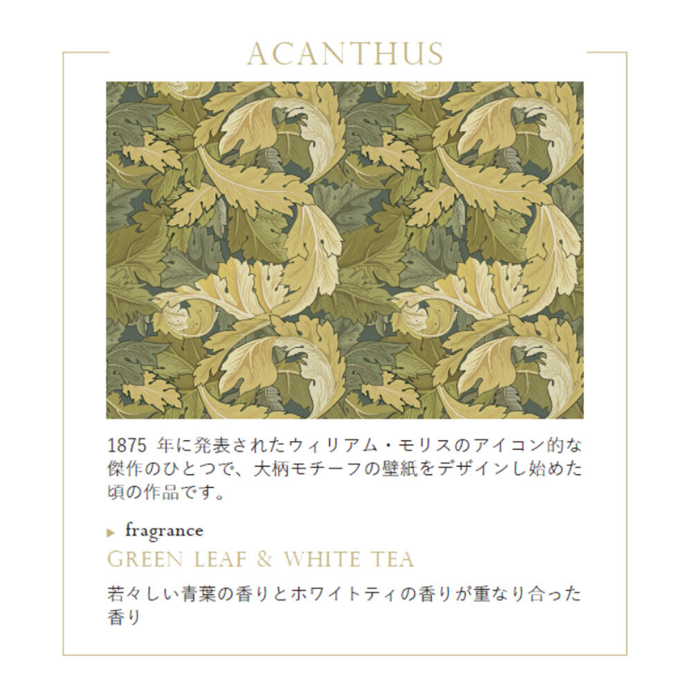RETELLINGS OF CLASSIC リテリングスオブクラシック Solaflower Diffuser ソラフラワーディフューザー ACANTHUS（▶fragrance：Green Leaf & White Tea グリーンリーフ＆ホワイトティ）