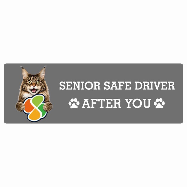 カーサイン 高齢者マーク SENIOR SAFE DRIVER メインクーン ステッカー シール 長方形 15x5cm 肉球 日本製 車