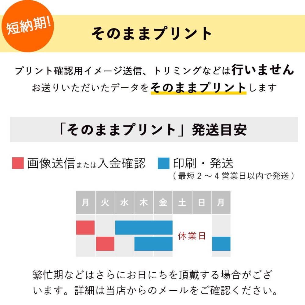 開店祝い おしゃれ 名入れ 店名 【お店のロゴ入り】 開業祝い オープン祝い ロゴ 花以外 可愛い オープン記念 オリジナルプリント インテリア マスコット エプロン カフェ レストラン 居酒屋 飲食店 バー プレゼント ぬいぐるみ 周年祝い 贈り物 置物 雑貨 ショップスタッフベア ロゴプリント 11430-921064