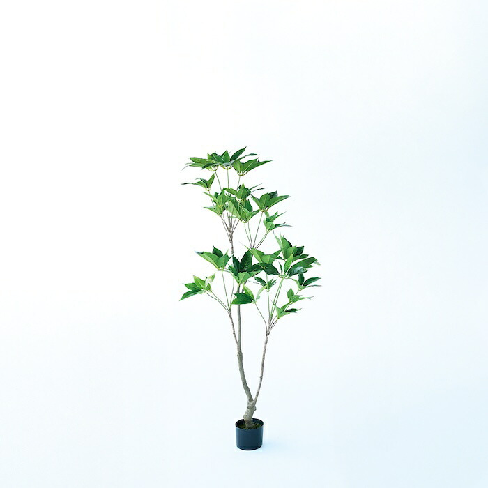 観葉植物 造花 ツピタンサス BROWN 全高約150cm 大型 フェイクグリーン 本物そっくり おしゃれ インテリア 人工観葉植物 アーティフィシャルグリーン オフィス 店舗 ホテル 開店祝い 室内 シェフレラ フェイク ツピダンサス