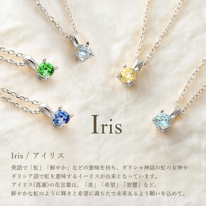 選べる誕生石 ネックレスプラチナ ネックレス 一粒 PT950 プラチナ950 白金 チェーン 長さ選べる 40cm 45cm 50cm ギフトラッピング可能 シンプル 華奢 上品 Rapture アイリス 彼女 妻 女性 レディース 誕生日 プレゼント ハロウィン 【品番：CG-RSP-29051PT】
