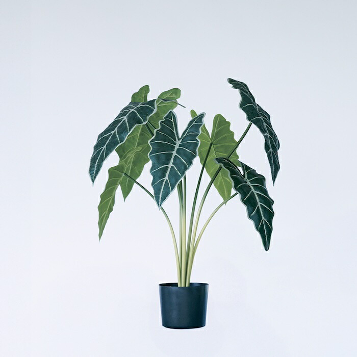 観葉植物 造花 アロカシア BROWN 全高約61cm 卓上・小型 フェイクグリーン 本物そっくり おしゃれ インテリア 人工観葉植物 アーティフィシャルグリーン オフィス 店舗 ホテル 開店祝い 室内 ミニ クワズイモ フェイク