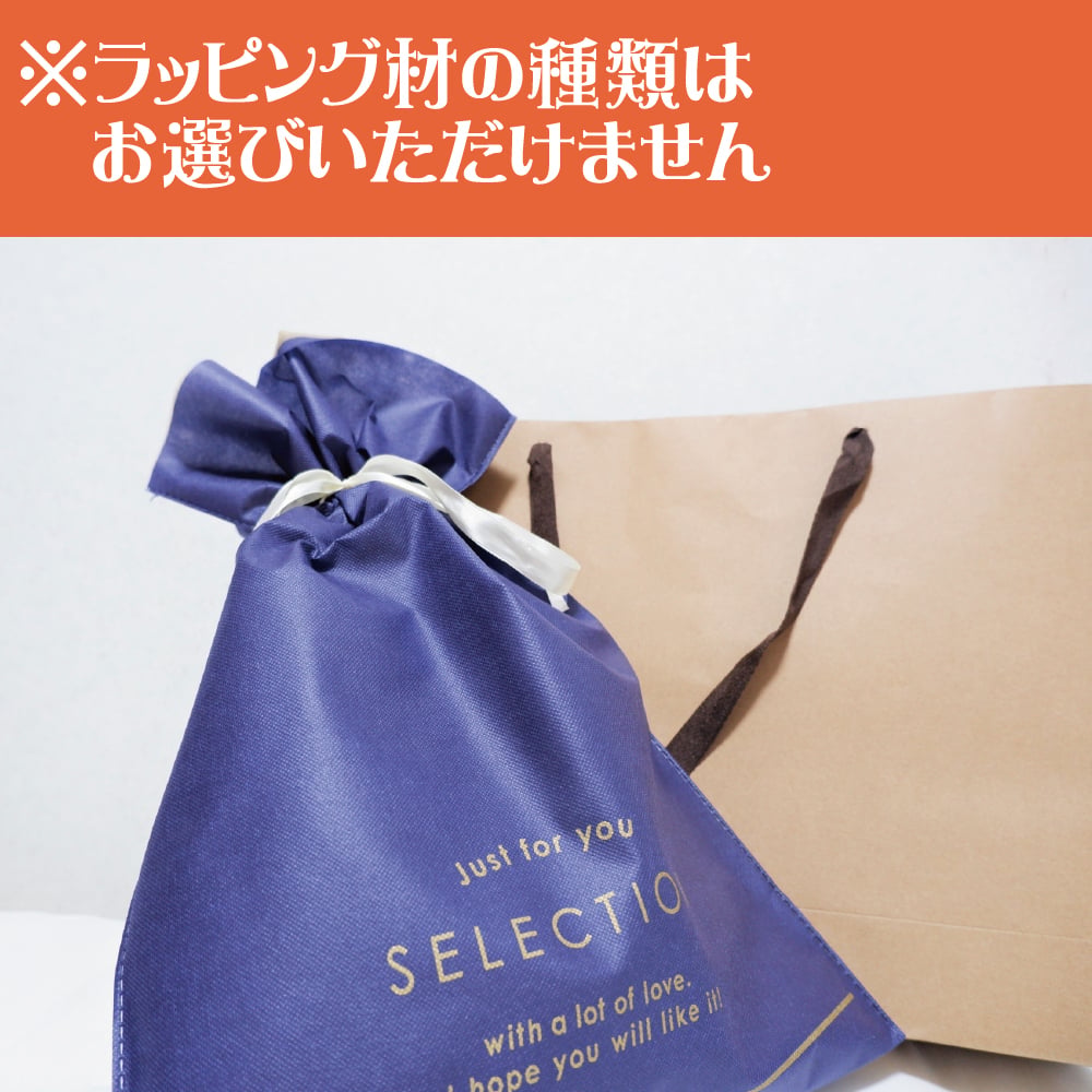 ネーム刺繍入 ミズノ マルチ袋 名入れ 刺繍 プレゼント グラブ袋 シューズ袋 卒団 卒部 黒 ブラック 12jydx0109