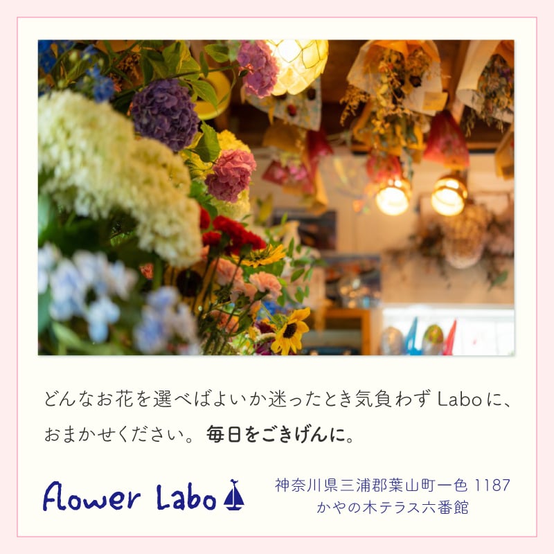 【花瓶いらずのミニブーケ】【選べる3色】【Sサイズ】【クール便】そのまま飾れる 到着日指定可 最短翌日お届け スタンドブーケ スタンディングブーケ | 敬老の日 誕生日 結婚祝い 出産祝い 還暦祝い 退職祝い 結婚記念日 引っ越し祝い 新築祝い 産休祝い 開業・開店祝い 記念日 開店祝い 周年祝い ペットのお悔やみ お悔やみ
