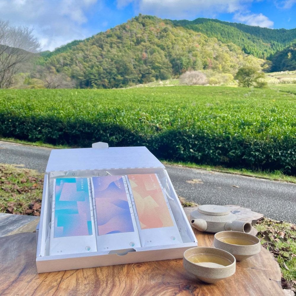 【自然栽培のお茶】リーフ（大）3種セット：煎茶・ほうじ茶・紅茶【送料無料(一部地域除く)】