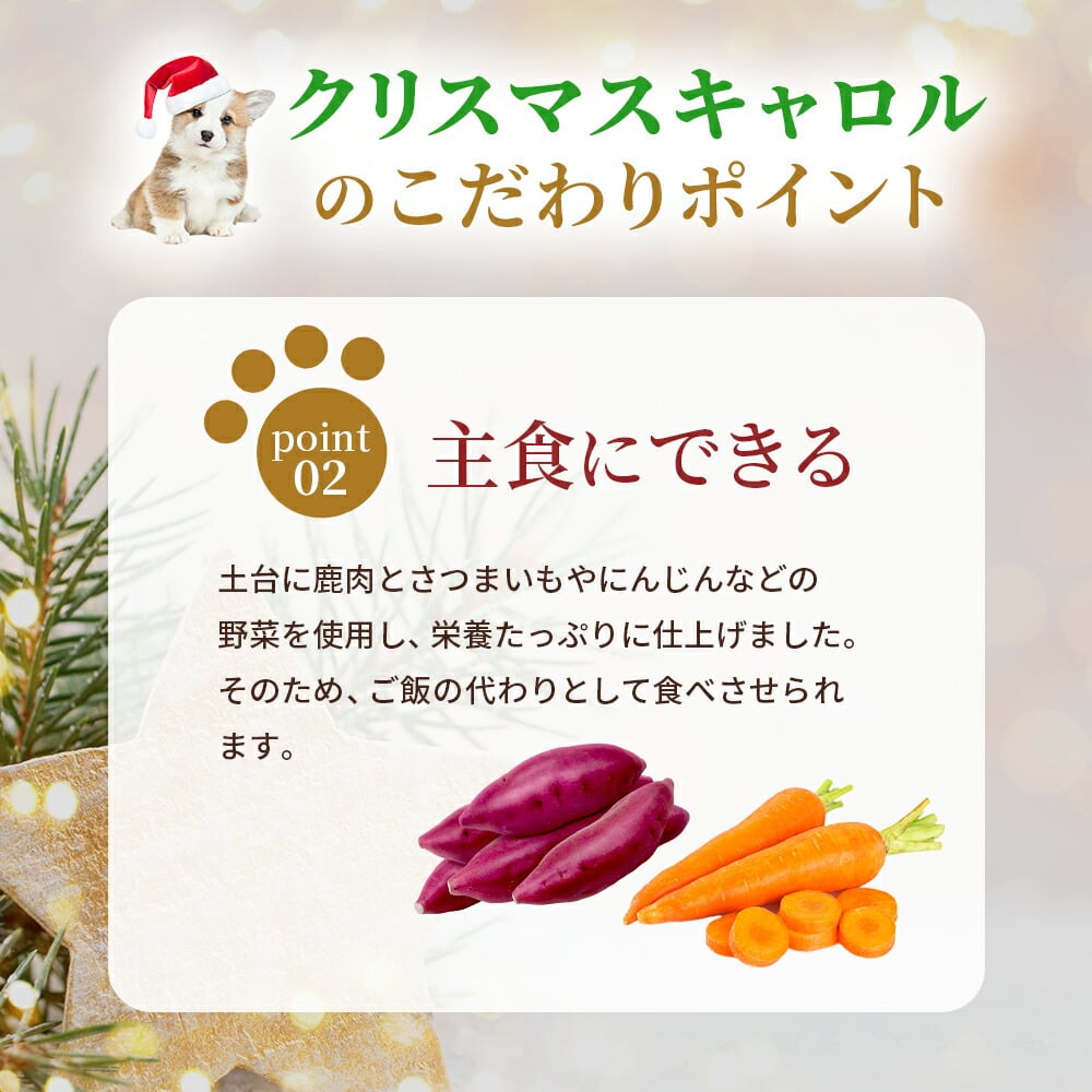 犬用クリスマスケーキ クリスマスキャロル ごはんタイプ