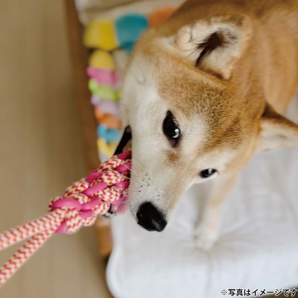 プラッツ PLATZ パピーズチョイス ツインロープ タグ 犬用おもちゃ ピンク