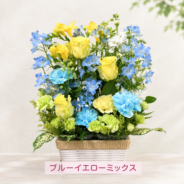 ご希望の色合いで選べる スクエアバスケットアレンジメント 高さ45cm 生花 フラワーアレンジメント 花ギフト フラワーギフト 誕生日 お祝い お見舞い 送別 季節行事 お供え お悔やみ 最短発送 送料無料【北海道・沖縄・九州・四国・中国・離島は配送不可】