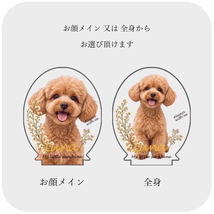 うちの子フラワーアクリルスタンド　　名入れ オーダーメイド 犬 猫 うさぎ ペット 透明 プレゼント ギフト 写真立て フォトスタンド 記念 メモリアル ナチュラル 可愛い アクスタ 遺影 位牌