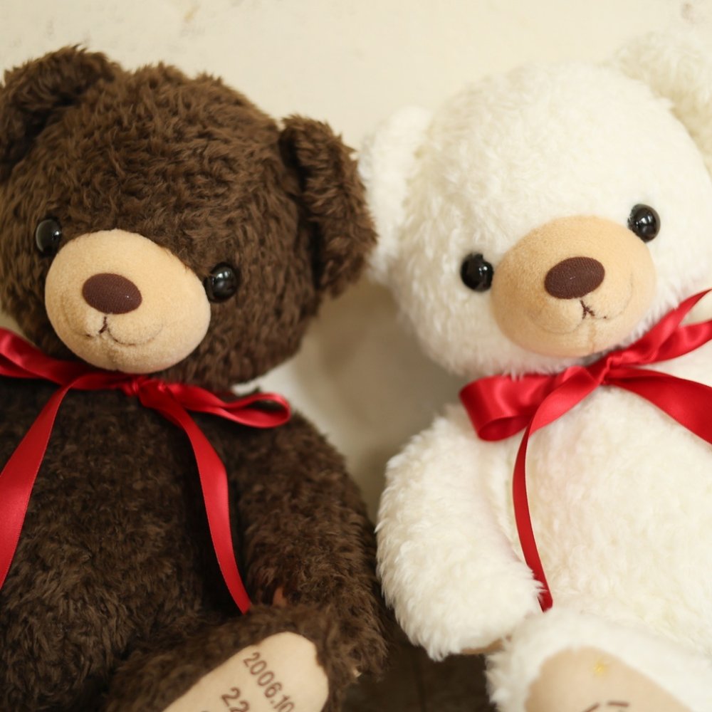 ココ体重ベア2体セット｜結婚式でご両親へ贈るウェディングペアギフト