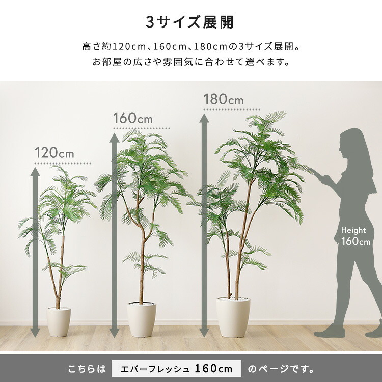 お手入れ簡単 フェイクグリーン エバーフレッシュ Mサイズ(160cm) 新築祝い 開店祝い