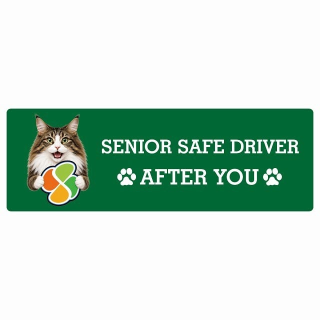 カーサイン 高齢者マーク SENIOR SAFE DRIVER ノルウェージャンフォレストキャット ステッカー シール 長方形 15x5cm 肉球 日本製 車