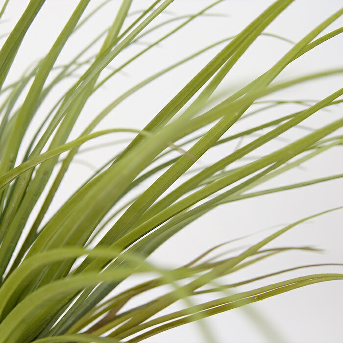 観葉植物 造花 ユッカ BROWN 全高約85cm 中型 フェイクグリーン 本物そっくり おしゃれ インテリア 人工観葉植物 アーティフィシャルグリーン オフィス 店舗 ホテル 開店祝い 室内 青年の木 エレファンティペス フェイク