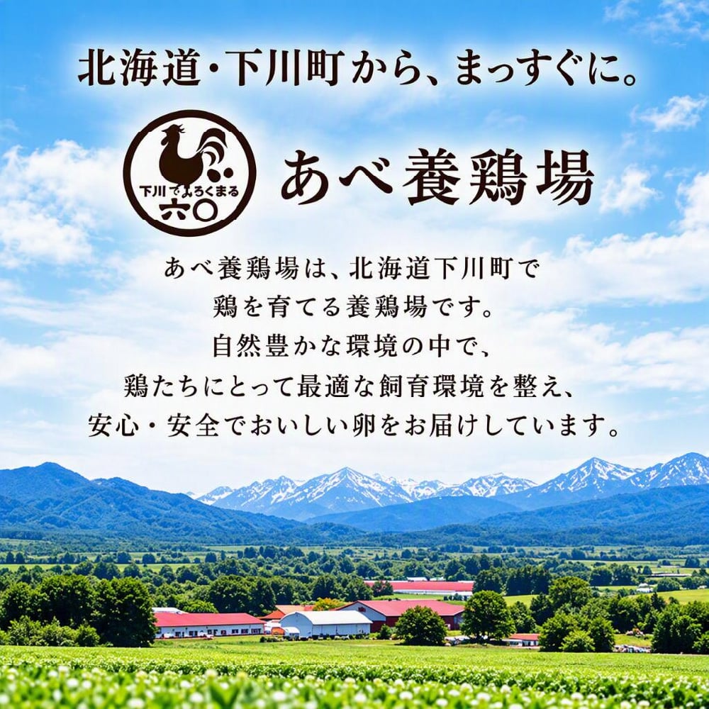 あべ養鶏場 下川六〇燻製卵 10個入 燻製卵 くんたま 卵 たまご 北海道 下川町 酵素卵 スモークエッグ おつまみ 珍味 お歳暮 御歳暮 冬ギフト クリスマス お年賀 御年賀 寒中見舞い お土産 手土産 ご挨拶 プチギフト ギフト プレゼント お取り寄せ グルメ 【冷蔵】
