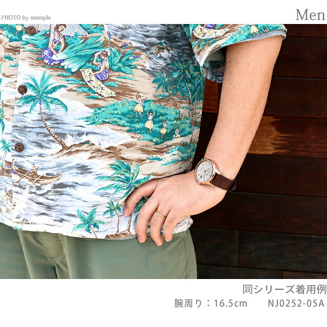 シチズン コレクション メカニカル 機械式時計 腕時計 ブランド メンズ CITIZEN COLLECTION NJ0252-05A アナログ シルバー ブラック 黒 日本製