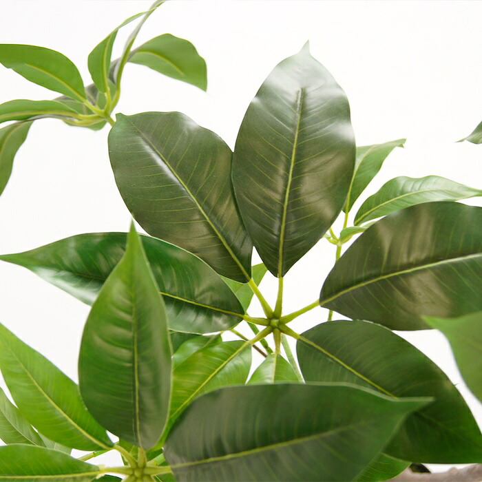 観葉植物 造花 ツピタンサス BROWN 全高約150cm 大型 フェイクグリーン 本物そっくり おしゃれ インテリア 人工観葉植物 アーティフィシャルグリーン オフィス 店舗 ホテル 開店祝い 室内 シェフレラ フェイク ツピダンサス