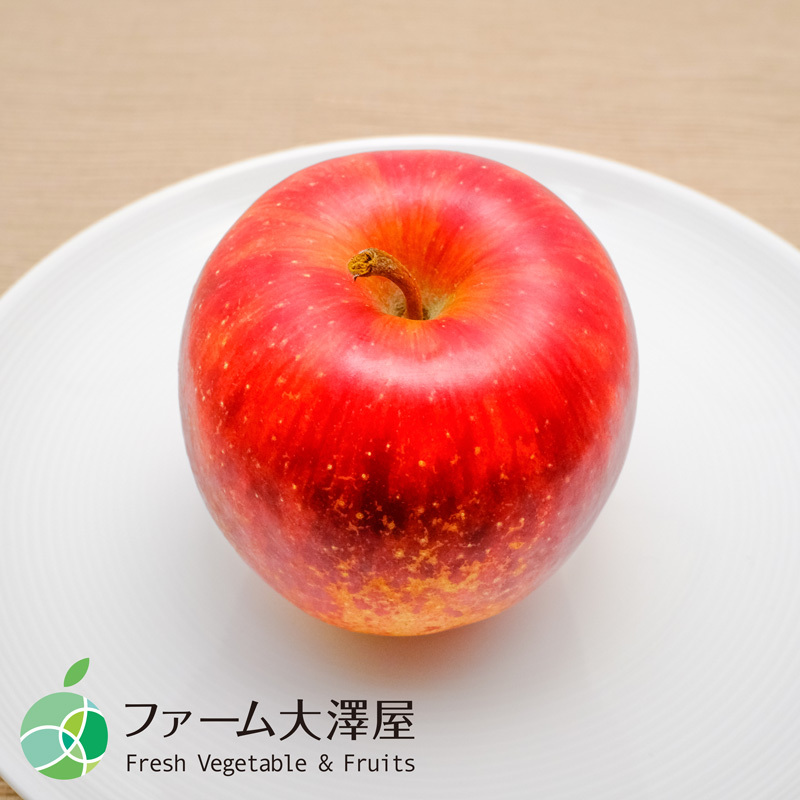 養田さんのはねだしりんご　シナノドルチェ　サビ・キズあり　家庭用　約5kg　8-23玉　長野県志賀高原産