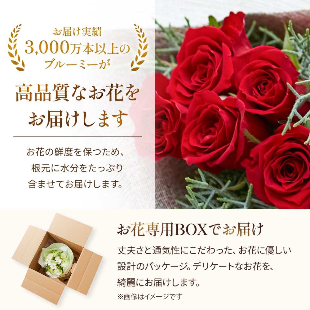 バラブーケ 20本 5本 3本 ミニブーケ お花ギフト 花 ギフトセット ギフト プチギフト 敬老 お中元 敬老の日 退職 入学 プレゼント 送料無料 土日発送OK お祝い お祝 御祝 御祝い お歳暮 お歳暮ギフト バースデー フラワー お花 生花 花束 誕生日 記念日 結婚記念日 恋人 女性 父 内祝い