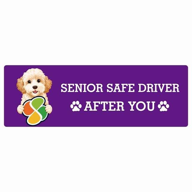 カーサイン 高齢者マーク SENIOR SAFE DRIVER ゴールデンドゥードル ステッカー シール 長方形 15x5cm 肉球 日本製 車