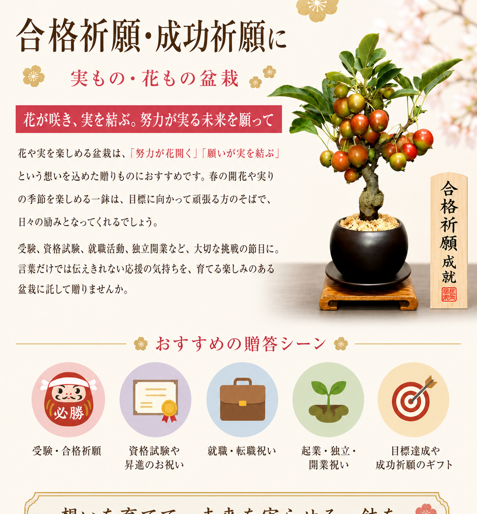 おすすめギフト 盆栽 姫りんご 大人気 健康祈願 ミニ盆栽 癒し 植物 花が咲く 出産祝い盆栽 風水開運盆栽 盆栽 ミニ 室内 初心者 引っ越し祝い 癒し 植物 父親 誕生日 プレゼント 盆栽 ギフト 令和
