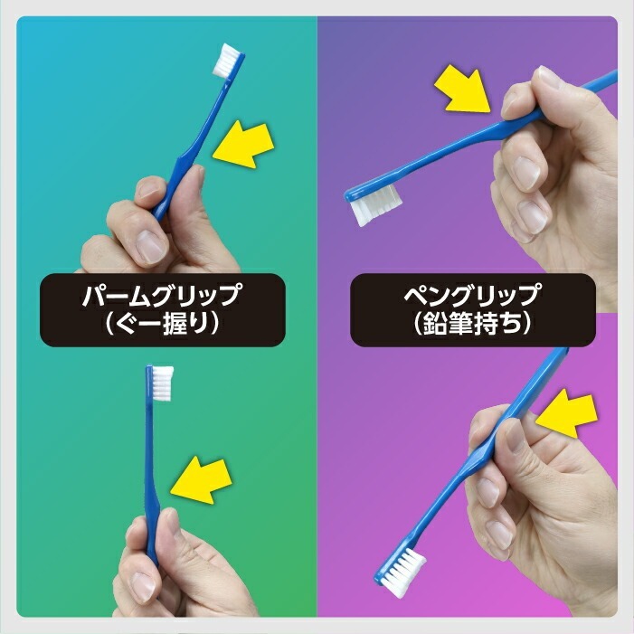 毛のかたさ選べる 歯科専用歯ブラシ Gupita グピタ (毛のかたさ：Mふつう／Sやわらかめ) 20本 (メール便3点まで) 【メール便送料無料】(※日時指定不可)／ 理想の歯ブラシ 全5色 個包装 ／ 復興支援商品 新生活