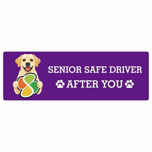 カーサイン 高齢者マーク SENIOR SAFE DRIVER ラブラドールレトリバー ステッカー シール 長方形 15x5cm 肉球 日本製 車
