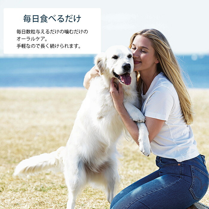 プロデン デンタルバイツ　犬用