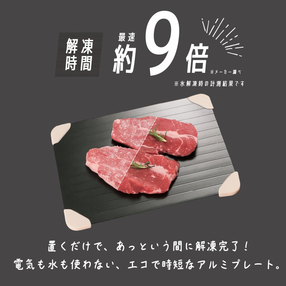 解凍プレート 急速解凍 カクセー 急速解凍アルミプレート リフトアップホルダー付き 最大約9倍 アルミプレート 自然解凍 電気不要 水不要 肉 魚 冷凍食品 食品解凍 粗熱取り 冷凍プレート 時短調理 薄型 キッチン便利グッズ 新生活 敬老の日 プレゼント ギフト