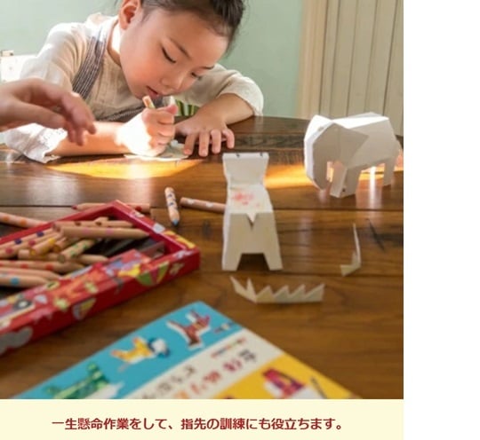 ぬりえ 立体ぬり絵 おもちゃ ベビートイ 子供用おもちゃ 紙製トイ 手作り 出産祝い べイーギフト 御祝い 贈り物 プレゼント クレヨン ファミリー ギフト 乗り物 どうぶつ