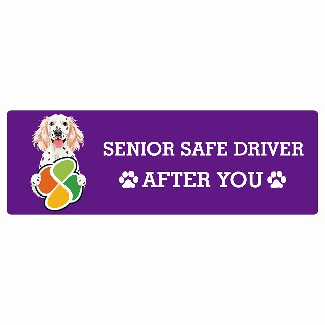 カーサイン 高齢者マーク SENIOR SAFE DRIVER イングリッシュセター ステッカー シール 長方形 15x5cm 肉球 日本製 車