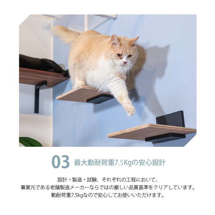 animacolle アニマコレ キャットステップキット2×4